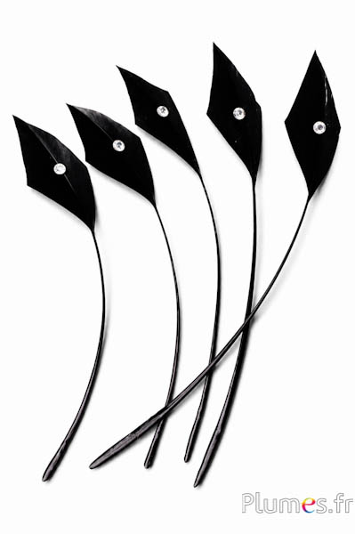 Oca freccia con strass - 10-15 cm - nero